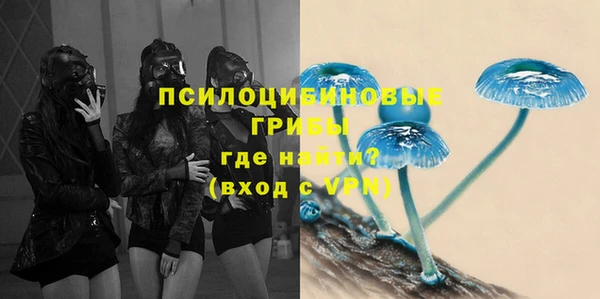 прущие крисы Баксан