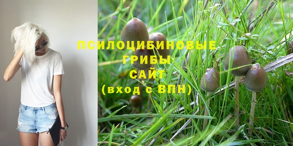 кокс Балабаново
