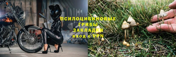кокс Балабаново