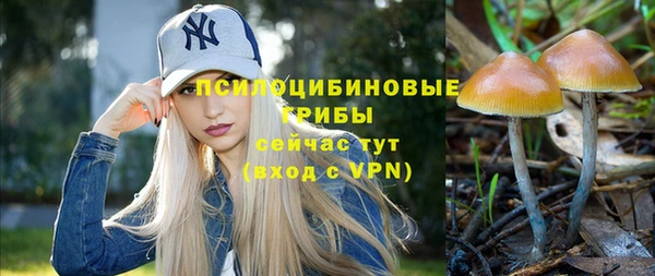прущие крисы Баксан