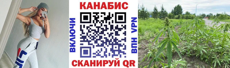 Шишки марихуана гибрид  Сретенск 